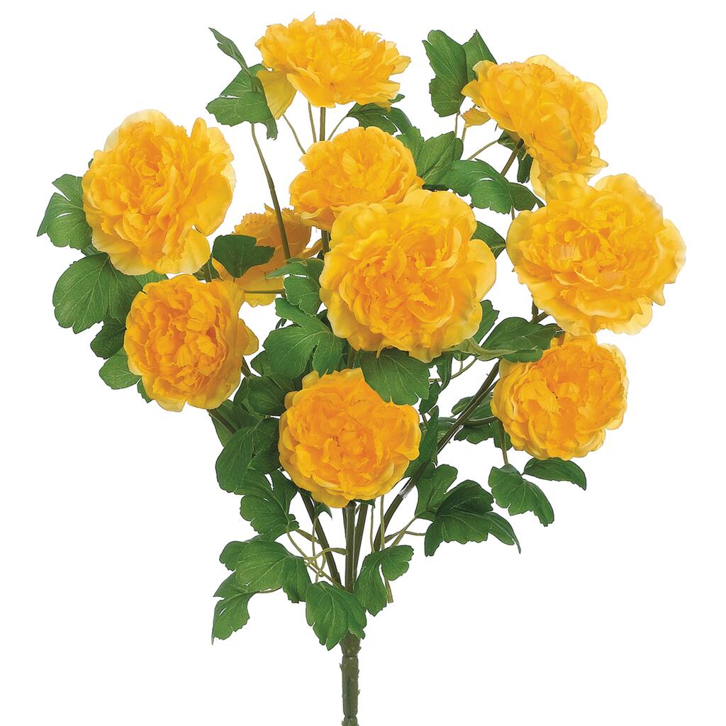 D264111S_1.jpg img